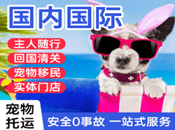 北京大兴机场快运国际宠物托运 【国